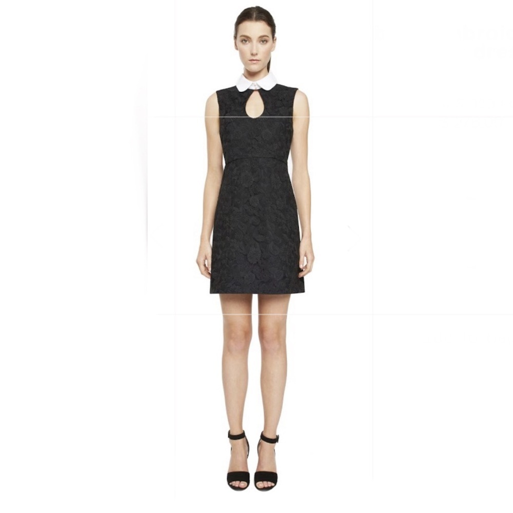 Jill Jill Stuart Bree Embroidered Shirt Dress Size 6 - Picture 6 of 10